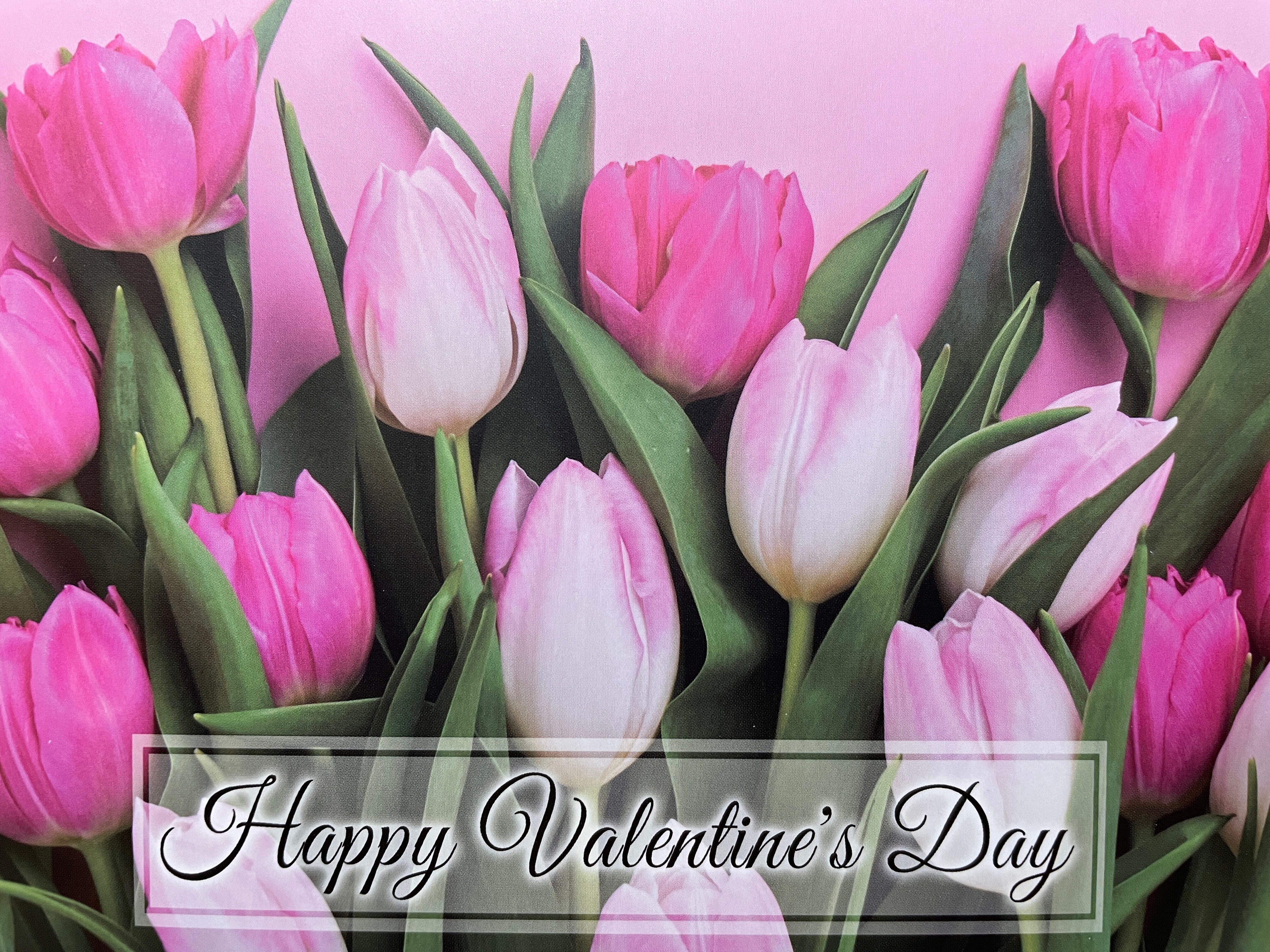 Hb14/Valentine’s Day card